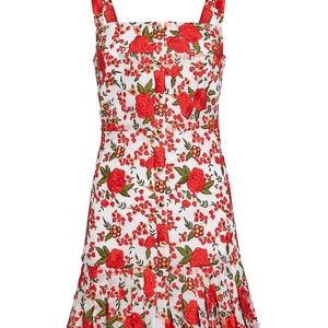 Alexis Melora Embroidered Mini Dress